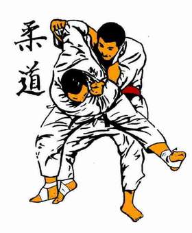 Trop bien les championnats du monde de Judo.